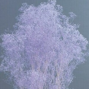 【大地農園】プリザーブド・小花 ミニカスミ草 ドライフラワー　EARTH　MATTERS