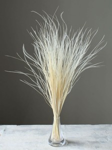 【大地農園】カラードライフラワー  フェザーグラス ドライフラワー　EARTH　MATTERS