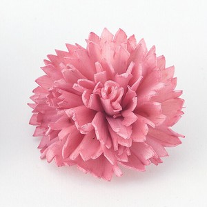 ハンドメイドフラワー  ソーラーファインカーネーション・小  ドライフラワー  ト　EARTH　MATTERS