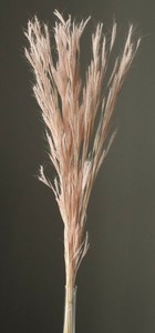 ドライフラワー  エアグラス  プリザーブドフラワー  フラワーアレンジメント　EARTH　MATTERS