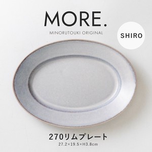 Mino ware Main Plate Made in Japan