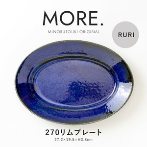 Mino ware Main Plate Made in Japan