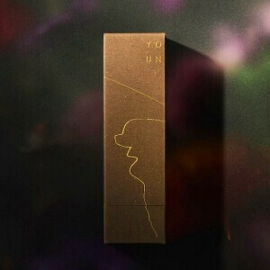 【YOUN】 Incense stick  511  【お香 札幌 Jazflowershop 日本製】