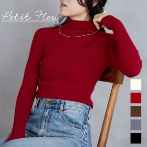 Pre-order Sweater/Knitwear Knit Pullover High-Neck