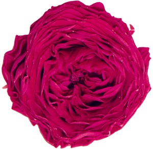 プリザーブドフラワー PM ナナ ガーデンローズ 19色 ドライフラワー 薔薇 フラワーアレンジメント