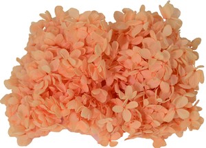 プリザーブドフラワー  GPピラミッドアジサイ全23色 ドライフラワー 紫陽花フラワーアレンジメント