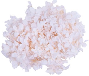 プリザーブドフラワー  GPピラミッドアジサイ全23色 ドライフラワー 紫陽花フラワーアレンジメント
