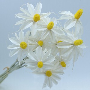 ドライフラワー GPオンシジュウム3色 花 葉 プリザーブドフラワー フラワーアレンジメント