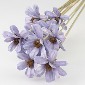 ドライフラワー GPシードフラワー9色 花 葉 プリザーブドリーフ フラワーアレンジメント