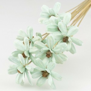 ドライフラワー GPシードフラワー9色 花 葉 プリザーブドリーフ フラワーアレンジメント