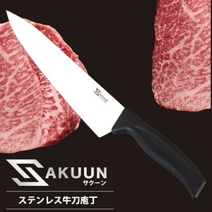 Gyuto/Chef's Knife