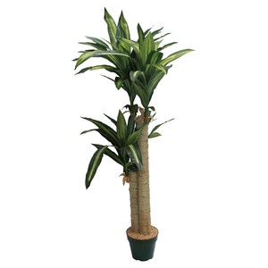 ドラセナ　128cm/フェイクグリーン/店舗装飾・イベント用品