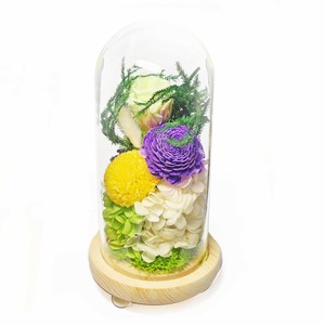 お供え用(仏花)　ガラスドームアレンジメント　プリザーブドフラワー　日菜乃(ひなの)　グリーン　C36340