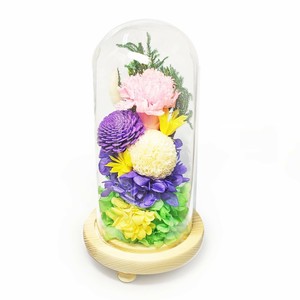 お供え用(仏花)　ガラスドームアレンジメント　プリザーブドフラワー　日々華(ひびか)　ピンク　C36320