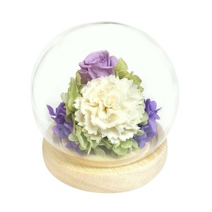 お供え用(仏花)　スフィアドームアレンジ　プリザーブドフラワー　萌(もえ)　パープル　C37106