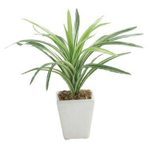 ミニポットドラセナ　H22xW23xD23cm/フェイクグリーン/店舗装飾・イベント用品