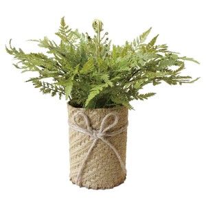 ファーンポット　H30×W40×D40cm/フェイクグリーン/店舗装飾・イベント用品