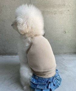 NラメッシュKM 犬服 ラメ メッシュキャミソール