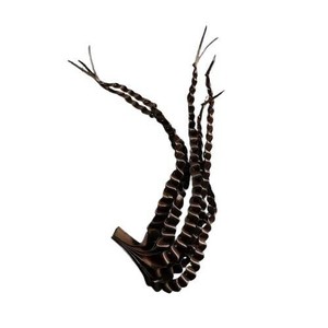 Casto カスト ドライフラワー Palm Finger Brown 58277