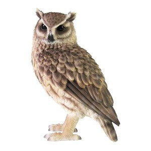PET BANK ペットバンク 貯金箱 LONGEARED OWL (トラフズク) 1099