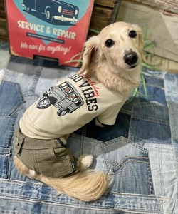 N☆GOODVIBEST 犬服 ヴィンテージライク半袖Tシャツ