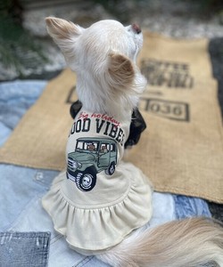 GOODVIBESOP 犬服 ヴィンテージライク半袖ワンピース
