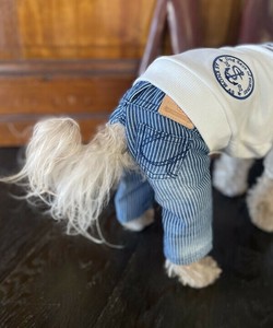 【2025春夏新作】Na刺繍ヒッコリーPT 犬服 刺繍ヒッコリーデニムパンツ