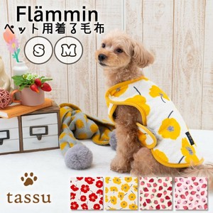 犬用服装 2种尺寸 新商品 2025年