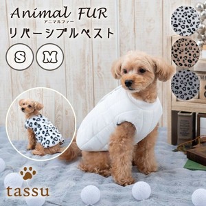 犬用服装 2种尺寸 新商品 2025年