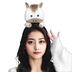 Costumes Accessories