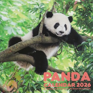 Calendar Panda