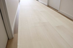 ペット用廊下敷シート　W　80cmx300cm PRO-0130 【ペット用品 犬 猫】