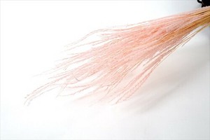 ドライフラワー FLファイングラス ドライ プリザーブドフラワー  フラワーアレンジメント
