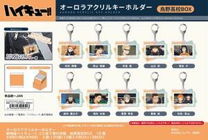 【9月21日締切】ハイキュー オーロラアクリルキーホルダー (MM)