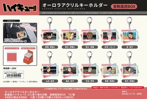 【9月21日締切】ハイキュー オーロラアクリルキーホルダー (MM)