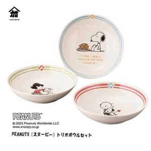 丼饭碗/盖饭碗
