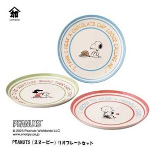 大餐盘/中餐盘 大盘子 3张每组