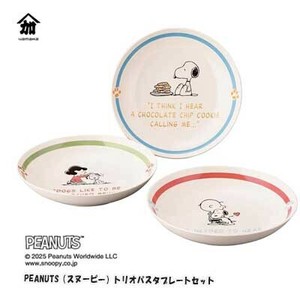 大餐盘/中餐盘 大盘子 意大利面餐盘 3张每组