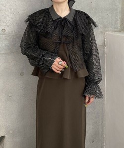 【2025春夏新作】2点セット メッシュ ブラウス レディース 長袖 ラメ フリル チュール 付け襟 レディース