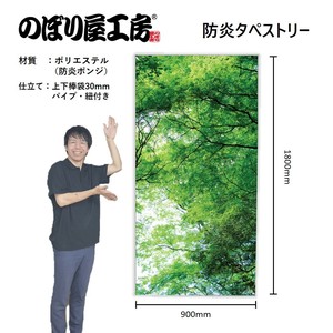 挂毯