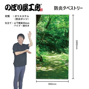 挂毯
