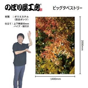 挂毯