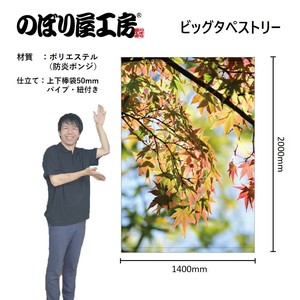 挂毯