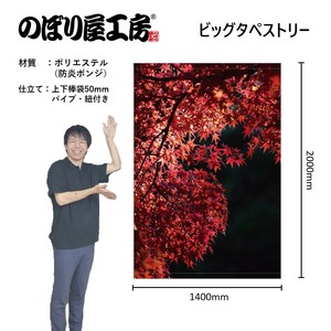 挂毯