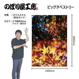 挂毯