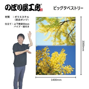 挂毯