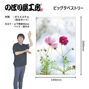 挂毯