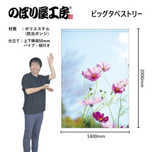挂毯