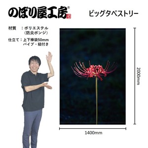 挂毯