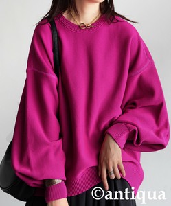 [antiqua] Sweater/Knitwear Crew Neck Ladies fashion